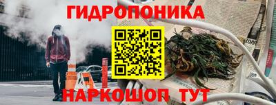 крисы Волгодонск