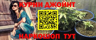 крисы Волгодонск